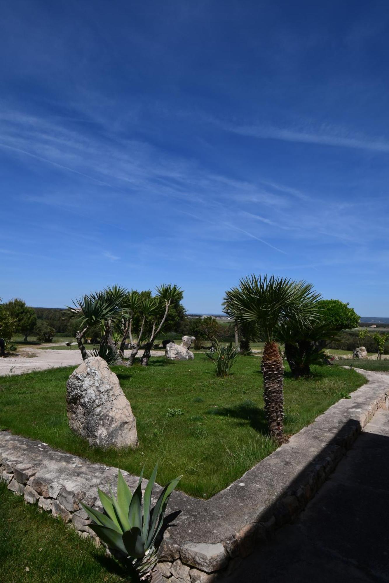 Villa Fattoria La Traccia Fertilia Exterior foto
